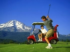 Sportowe Golf,piłka do golfa , kij golfowy , samochodzik