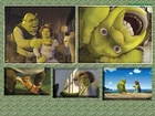 zdjęcia, Shrek 2