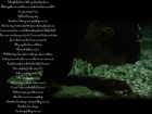 wiersz, Matrix, mężczyzna, mokry, błoto