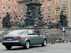 Audi A6, Pomnik, gołębie