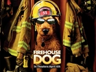 Firehouse Dog, pies, strażak