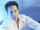 David Duchovny,biała koszula, ciemne włosy