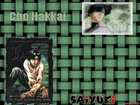 Saiyuki, plecionka, postacie, hakkai