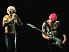 Red Hot Chili Peppers,włosy , gitara