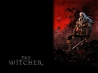 miecz, potwór, mężczyzna, The Witcher