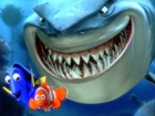 rekin, rybki, Gdzie Jest Nemo