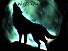 wilk, wyje, noc, Wolfs Rain