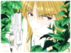 Saiyuki, pistolet, drzewo, facet