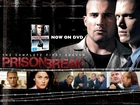 zdjęcia, Prison Break, Skazany na śmierć, Dominic Purcell, Wentworth Miller, Robin Tunney