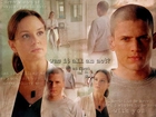 Prison Break, Wentworth Miller, Sarah Wayne Callies, gabinet