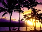 Hawaje, Palmy, Zachód Słońca