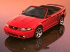 Ford Mustang, Czerwony, Cabrio