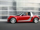 Czerwono Srebrny, Smart Roadster