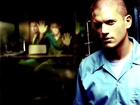 Prison Break, Wentworth Miller, koszula