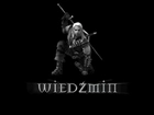 mężczyzna, miecz, wojownik, The Witcher