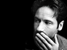 David Duchovny,wąsy, broda