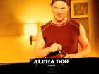 Shawn Hatosy, Alpha Dog