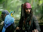 piraci_z_karaibow_2, Johnny Depp, papuga