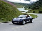 Smart Roadster, Ulica