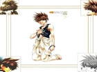 Saiyuki, son, goku, facet