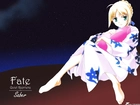 Fate Stay Night, Sukienka