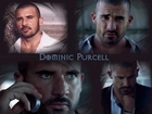 Dominic Purcell,okulary, komórka