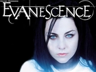 Amy Lee, Evanescence, Usta