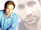 David Duchovny,błękitna koszula