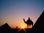 Egipt, Piramidy, wielbłądy, Zachód Słońca