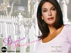 Desperate Housewives, Teri Hatcher, płot, napis