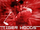 Sportowe Golf, Tiger Woods