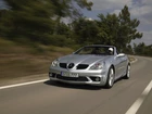 Sportowy Mercedes SLK