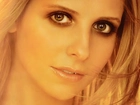 Sarah Michelle Gellar, Twarz