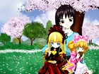 Rozen Maiden, herbata, ludzie, polana