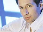 David Duchovny,biała koszula, zielone oczy