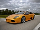 Murcielago