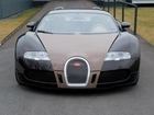 Brązowy, Przód, Bugatti Veyron
