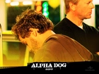 Alpha Dog, Bruce Willis, Emile Hirsch