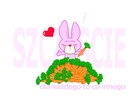 Różowy,królik,marchewki,napis,szczęście