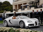 Srebrny, Veyron, Cabriolet, Wystawa