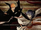 Bleach, Ichigo, Rukia, Trading Memories