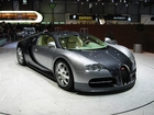 Bugatti Veyron, Srebrny, Czarny, Targi