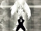 Angel Sanctuary, anioł, biało, czarne