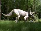 Triceratops, Las, Trawa