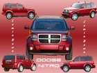 Dodge Nitro, Katalog