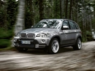 Bmw X5, E70, Las