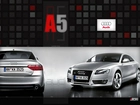 Dealer, Audi A5