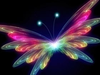 Motyl, Światło, Neon