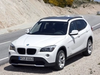 BMW X1, Szklany, Dach