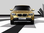 BMW X1, Atrapa